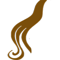 Professionelle Haarverlängerungen für mehr Länge, Volumen und natürliche Fülle